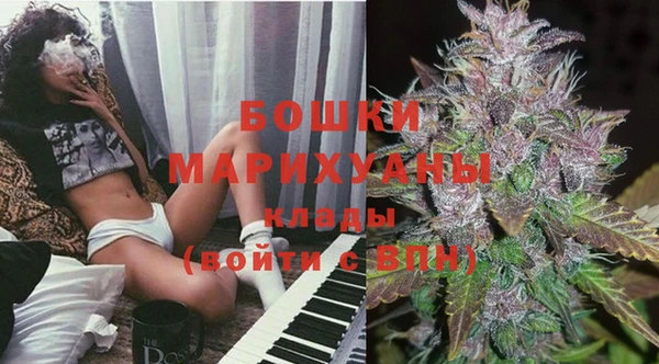 индика Алзамай