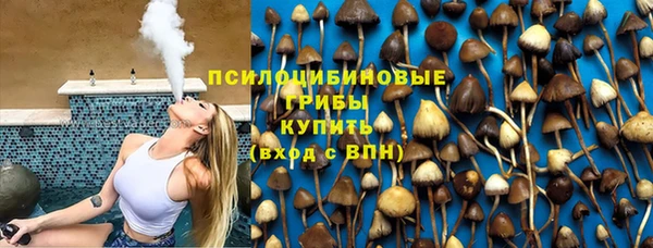 твердый Алексин