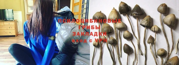 ECSTASY Абинск