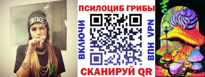 где купить наркоту  MEGA как войти  Галлюциногенные грибы прущие грибы  Зерноград 
